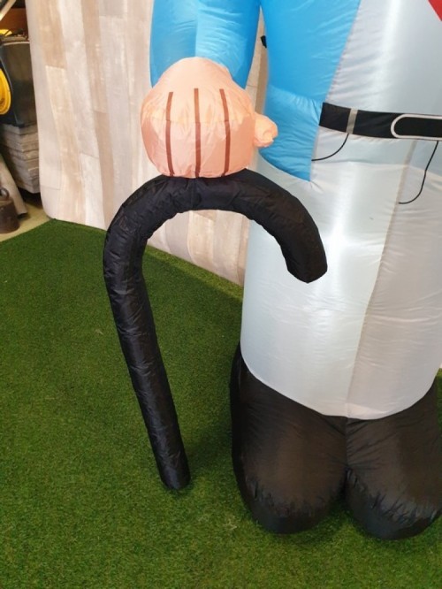 Indoor Abraham wandelstok 2,3m